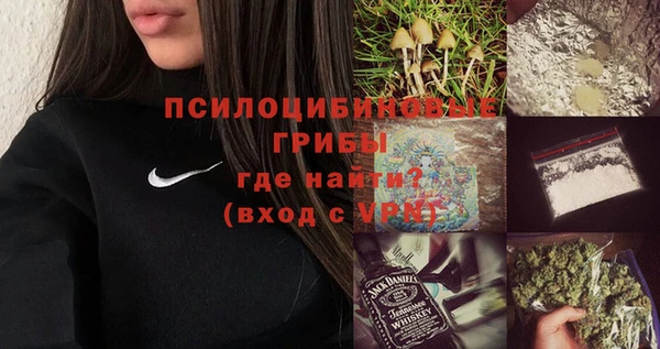 первитин Белокуриха