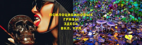 прущие крисы Вязники