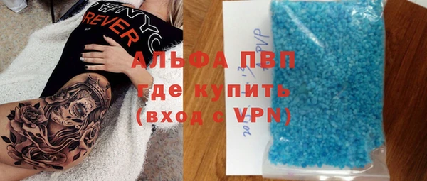 a pvp Магас