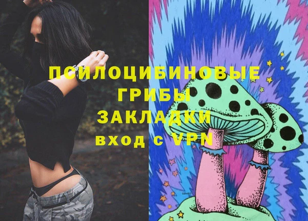 дурь Белоозёрский