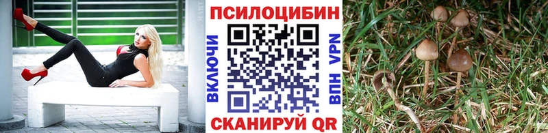 Галлюциногенные грибы Cubensis  hydra как зайти  Бокситогорск 