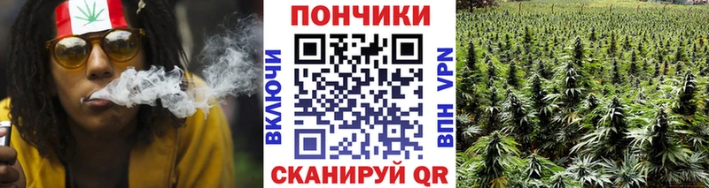 Каннабис ГИДРОПОН  купить  сайты  дарк нет наркотические препараты  Бокситогорск 